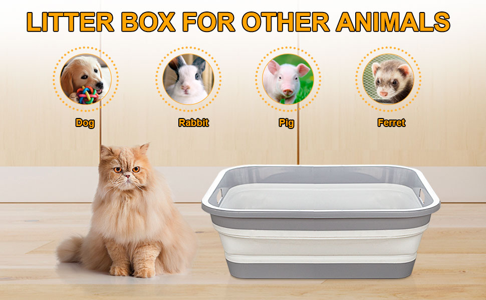 Maohegou Senior Cat Litter Box, Three Legged Arthritic Open Low Entry