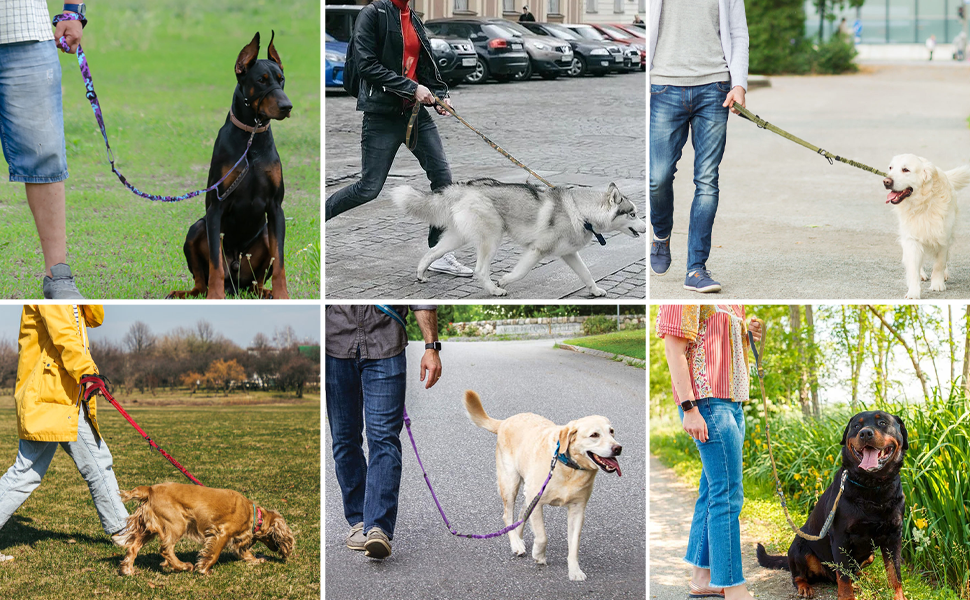 heavy duty dog leash