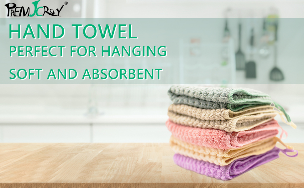 PREMJCROY 5 Piece Hand Towel with Loop Soft Fast Drying Hand Towel for