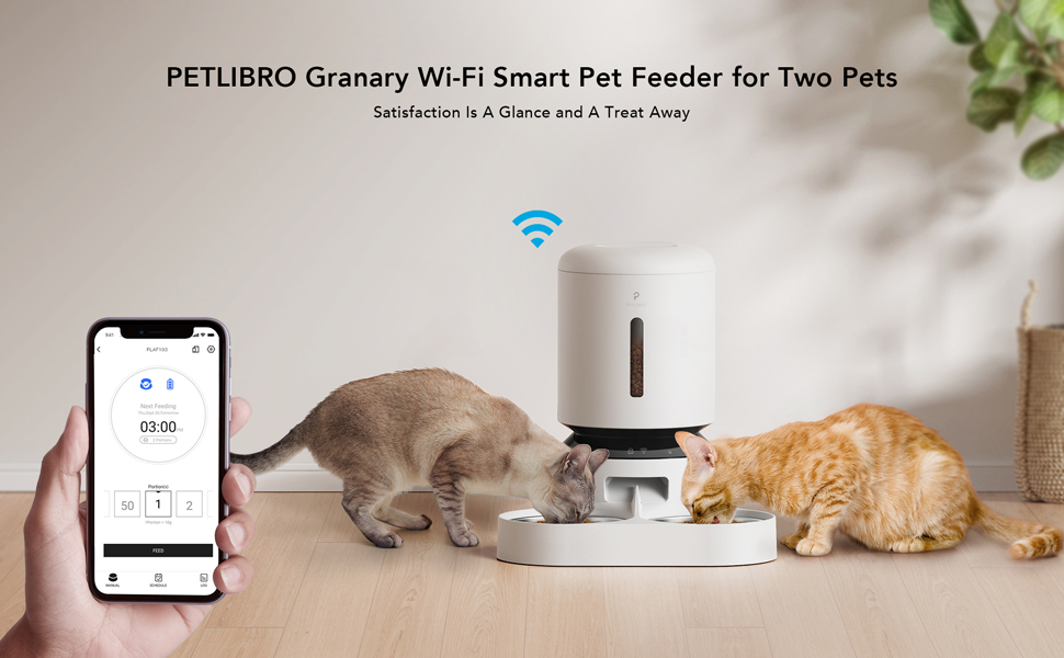 Automatic Cat feeder 2 Cats