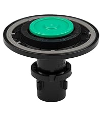 Amazon.com: Sloan Regal A-36-A Water Closet Diaphragm