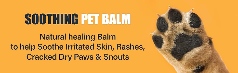 4 Pet Paws Dog Nail Trimmer and Grinder with USB Cable