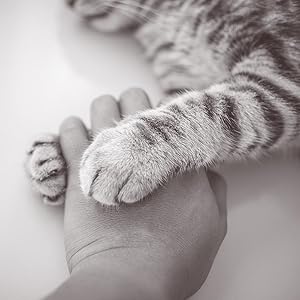 everanimals