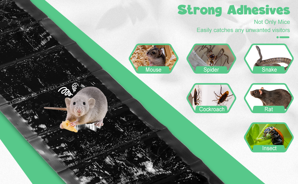 Qualirey 8 Pack Sticky Mouse Trap Sticky Rat Traps Glue