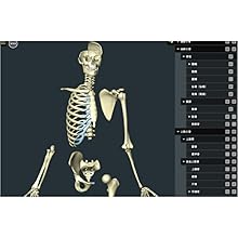 解体演書 上肢版・下肢版（3DCGソフト） プロライセンス版 解体演書 上肢版・下肢版（3DCGソフト） プロライセンス版