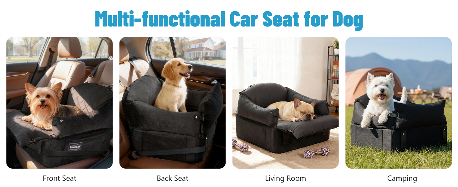 car seat for dogs