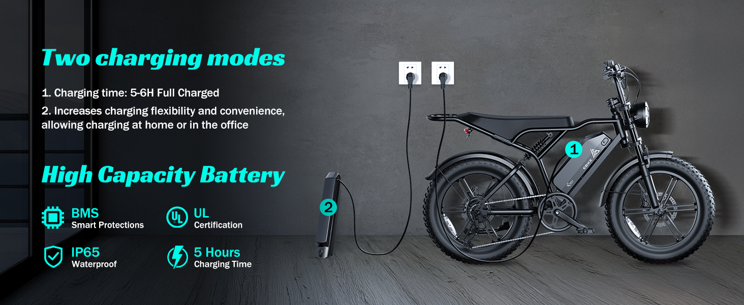 ebike