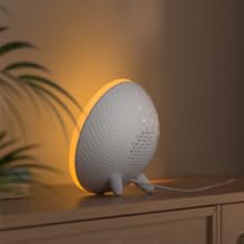 Night Light