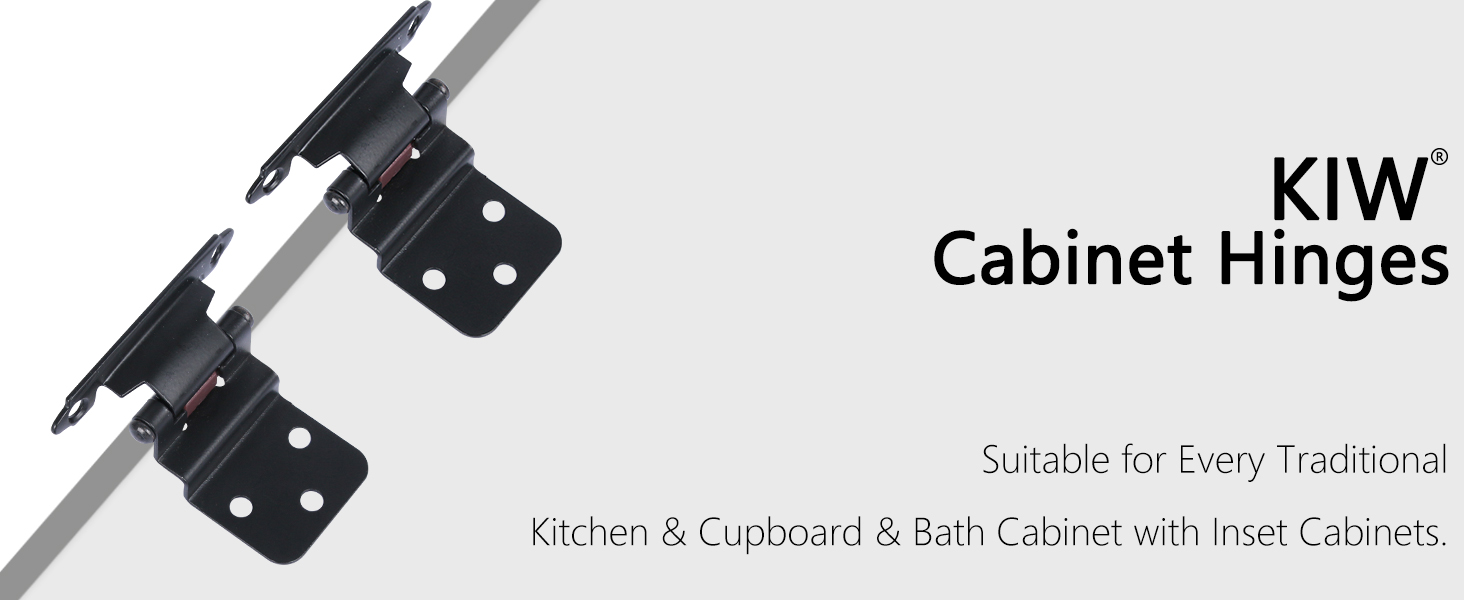 30 Pack Black Hinges 3/8" Inset Hinges Matte Black