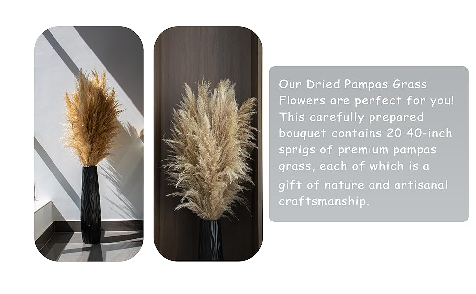 pampas grass decorpampas grass decor