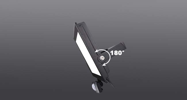 outdoor security light