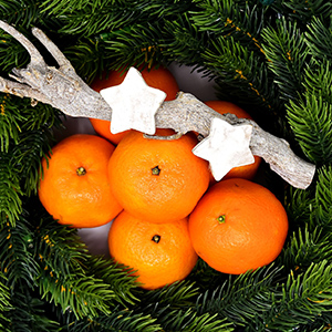  6 PCS Artificial Oranges Set