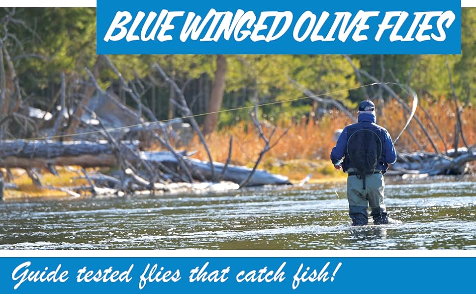 Blue Winged Olive Fly Fishing