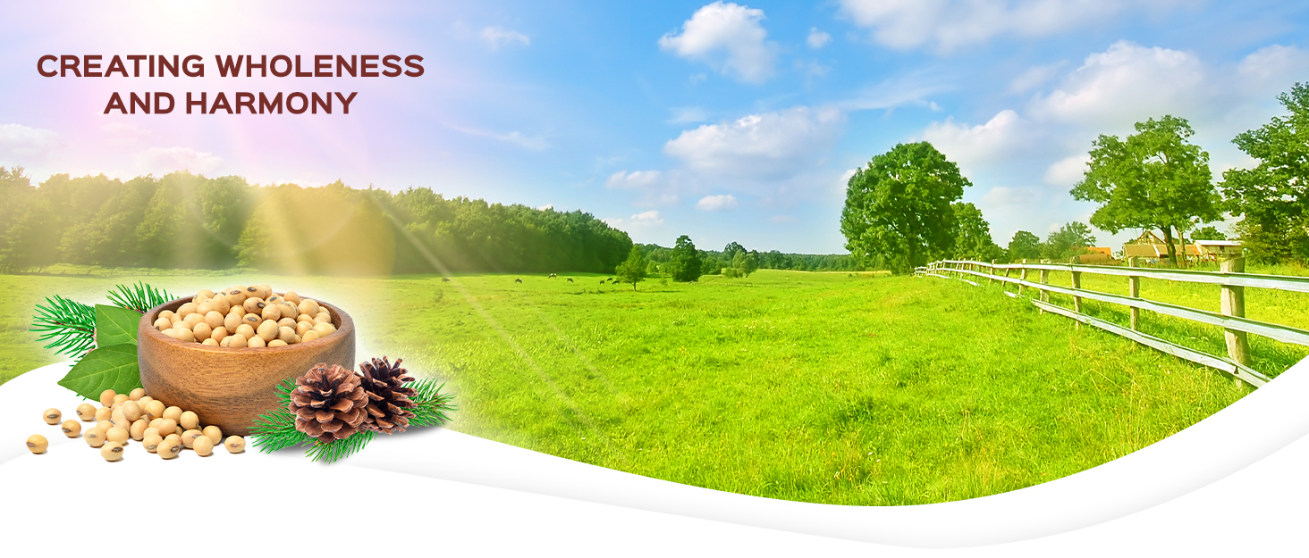 Tera Herbs Suplement