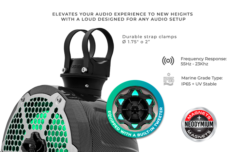 Amazon.com: DS18 NXL-PS8R 2-Way Wakeboard Tower Speakers