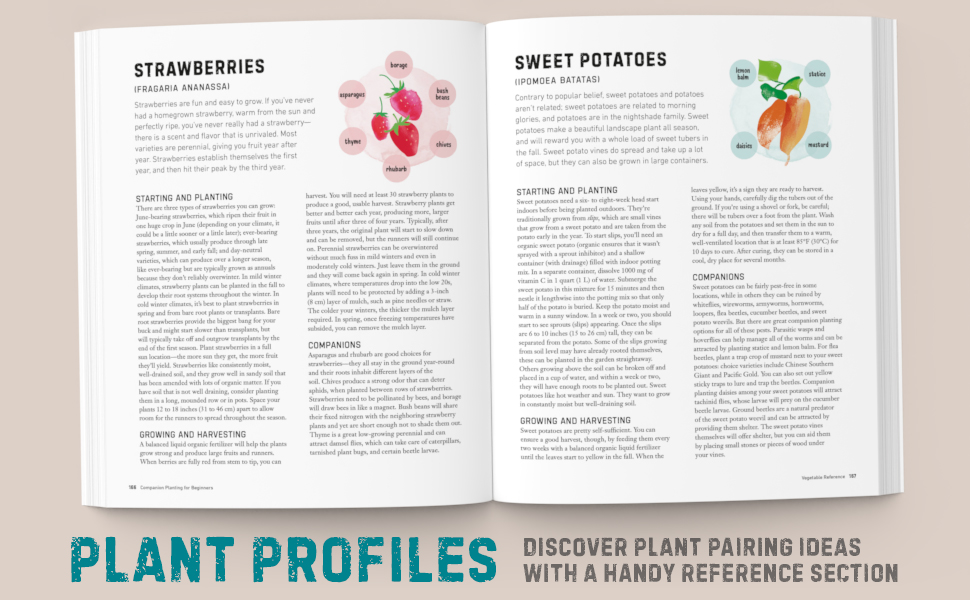 Large manufacture image 3