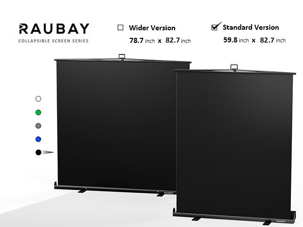 その他 RAUBAY Collapsible screen series 200cm Amazon.com: RAUBAY Retractable Pull Down Grey Screen