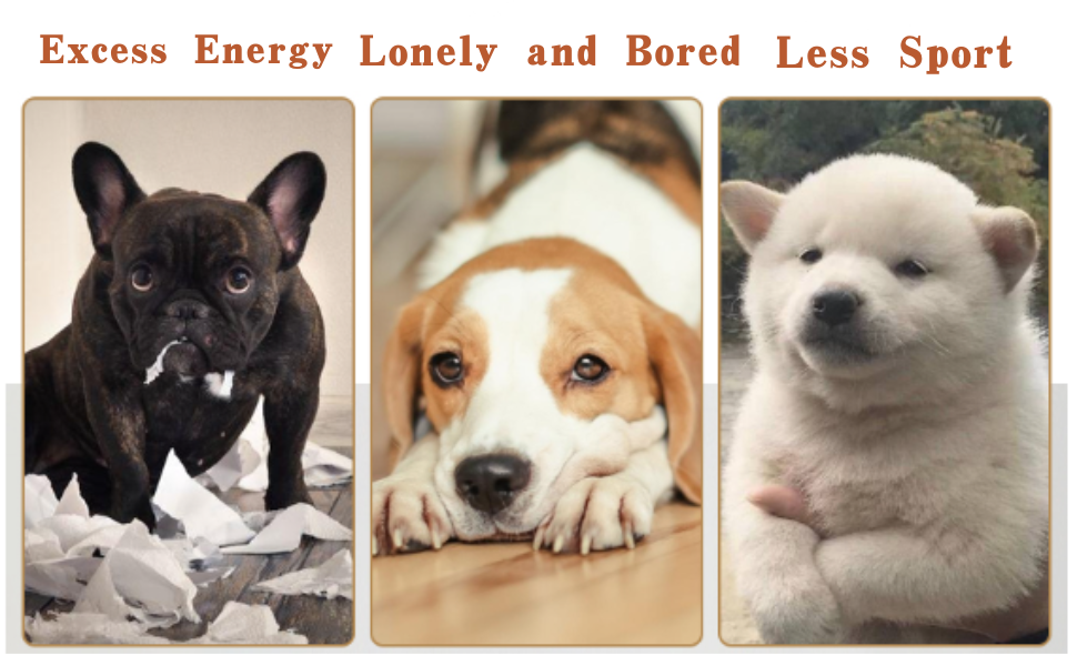 dog ball thrower launcher