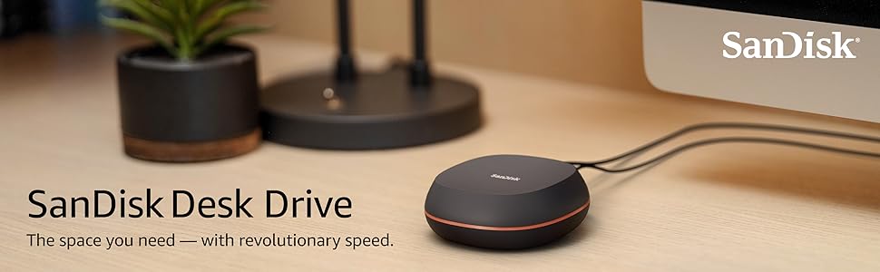 SanDisk Desk Drive