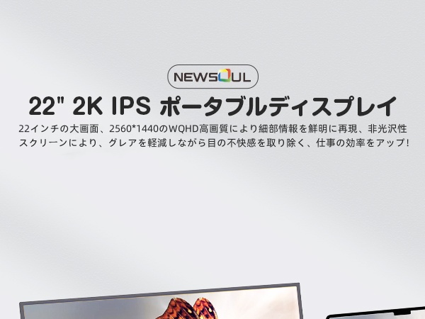 Amazon.co.jp: Newsoul モバイルモニター 22インチ モバイル
