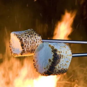 marshmallow skewers