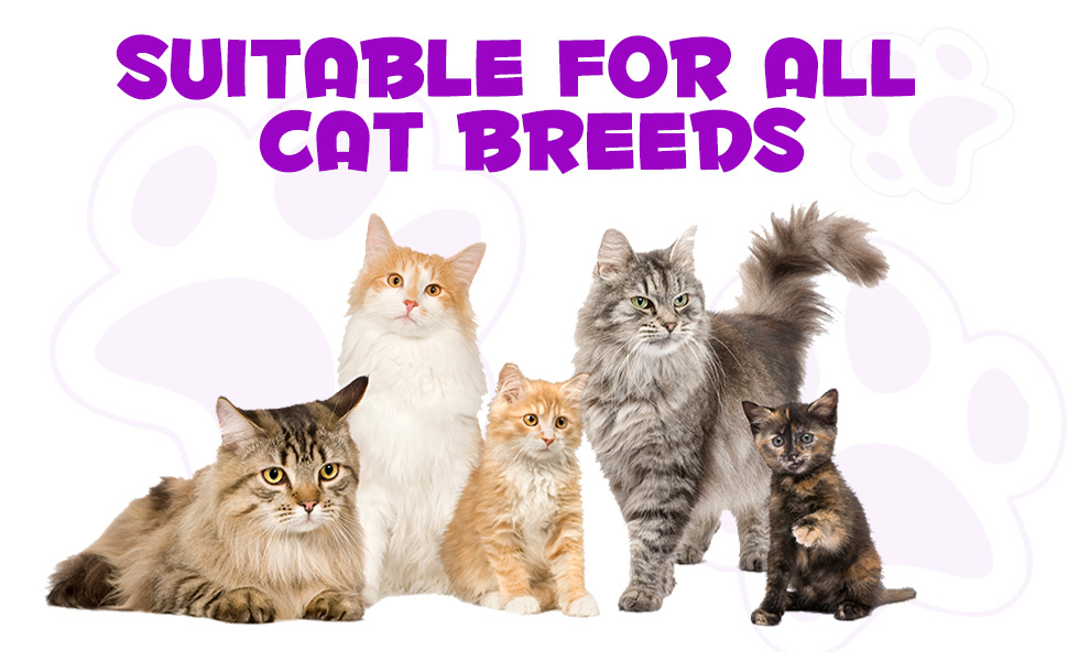 15 in 1 Cat Multivitamin Supplement