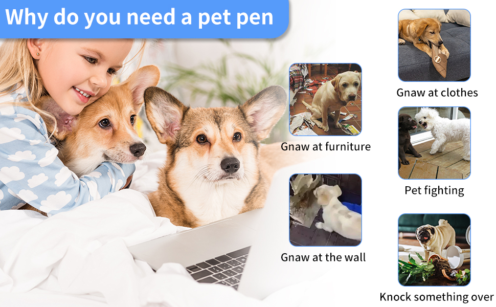 Small Dog Crate, 24" Dog Kennel with Leakproof, Double