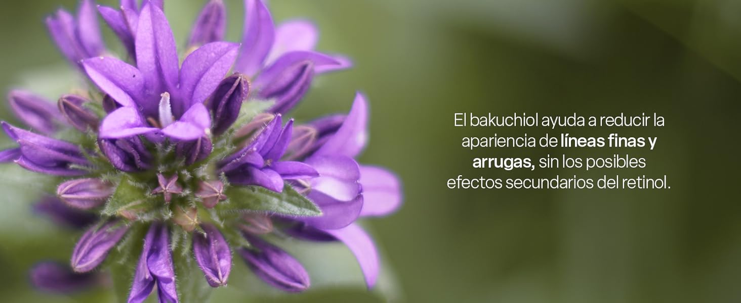 Suero bakcuhiol 2% teia cosmeticos antiarrugas