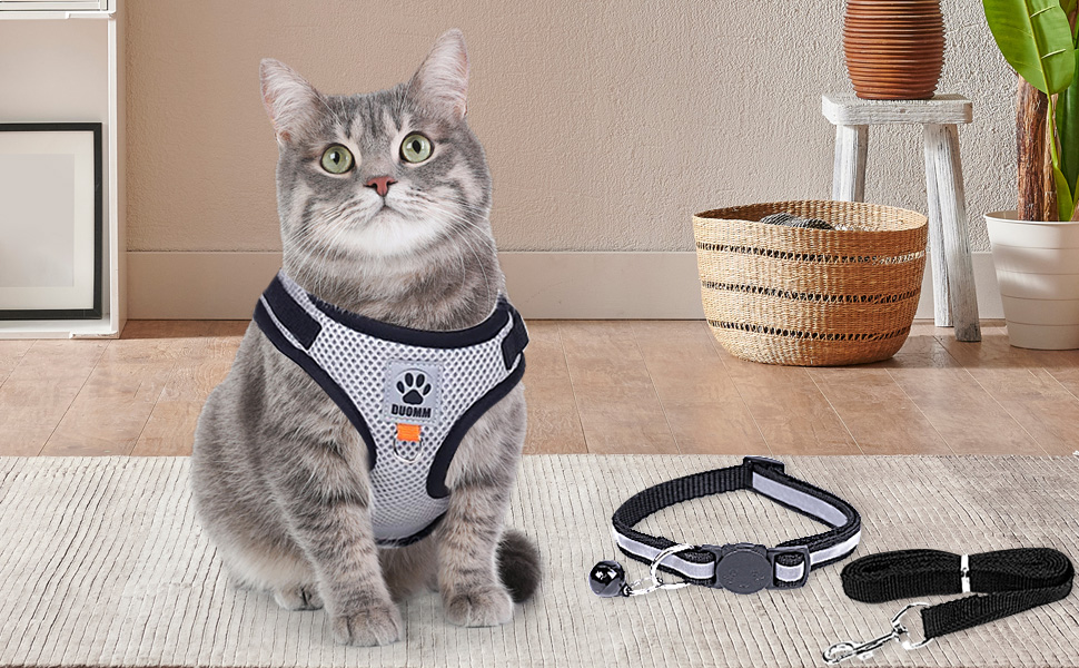 Cat Harness and Lead Set
