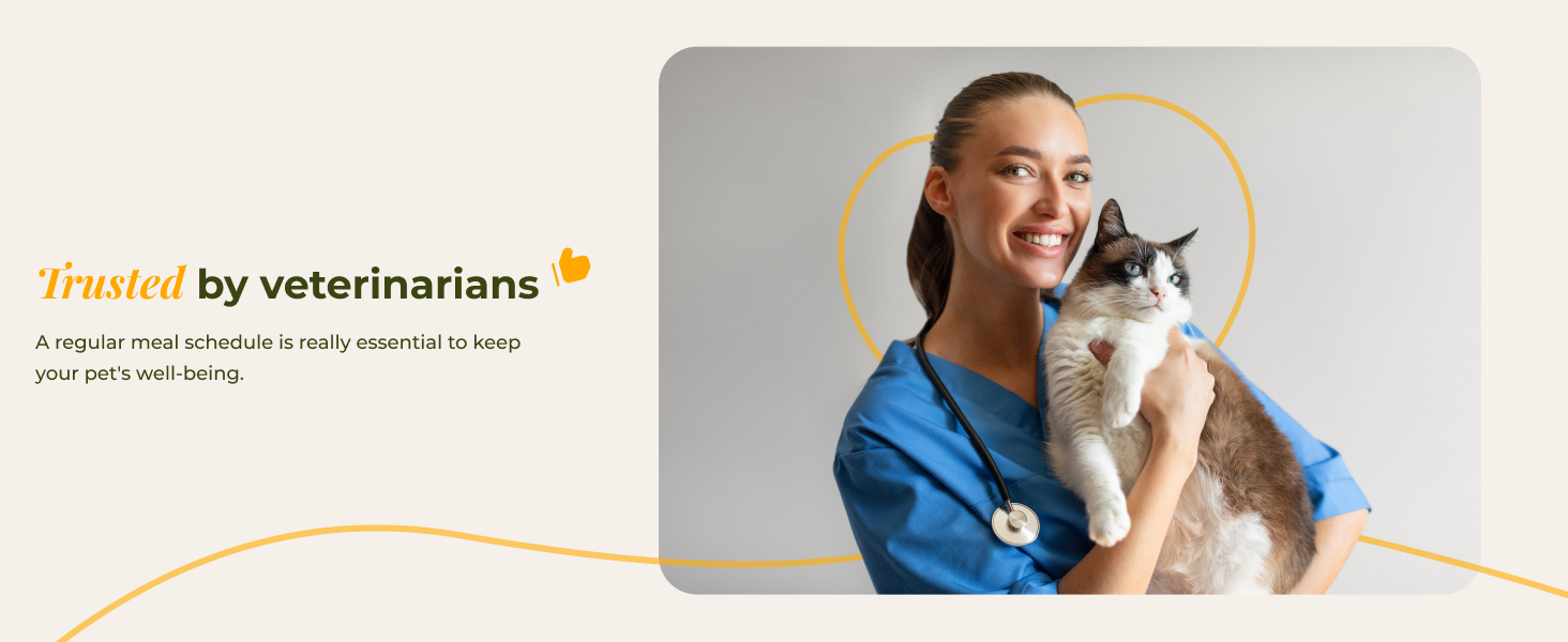 dog feeder automatic