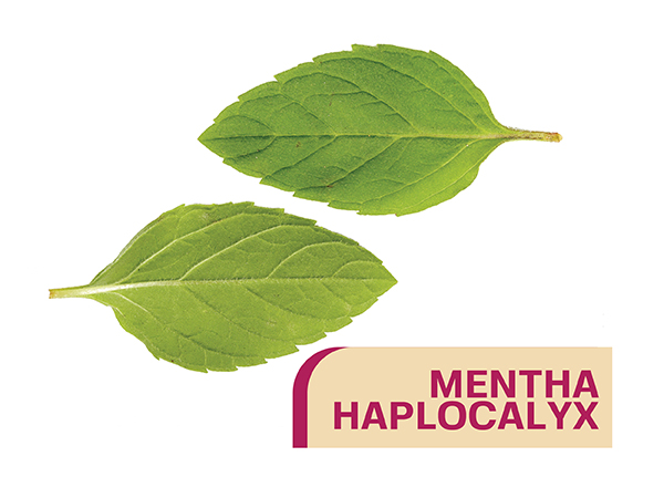 ecretions but promotes protects convenient wipe format easy use allow application desired touching