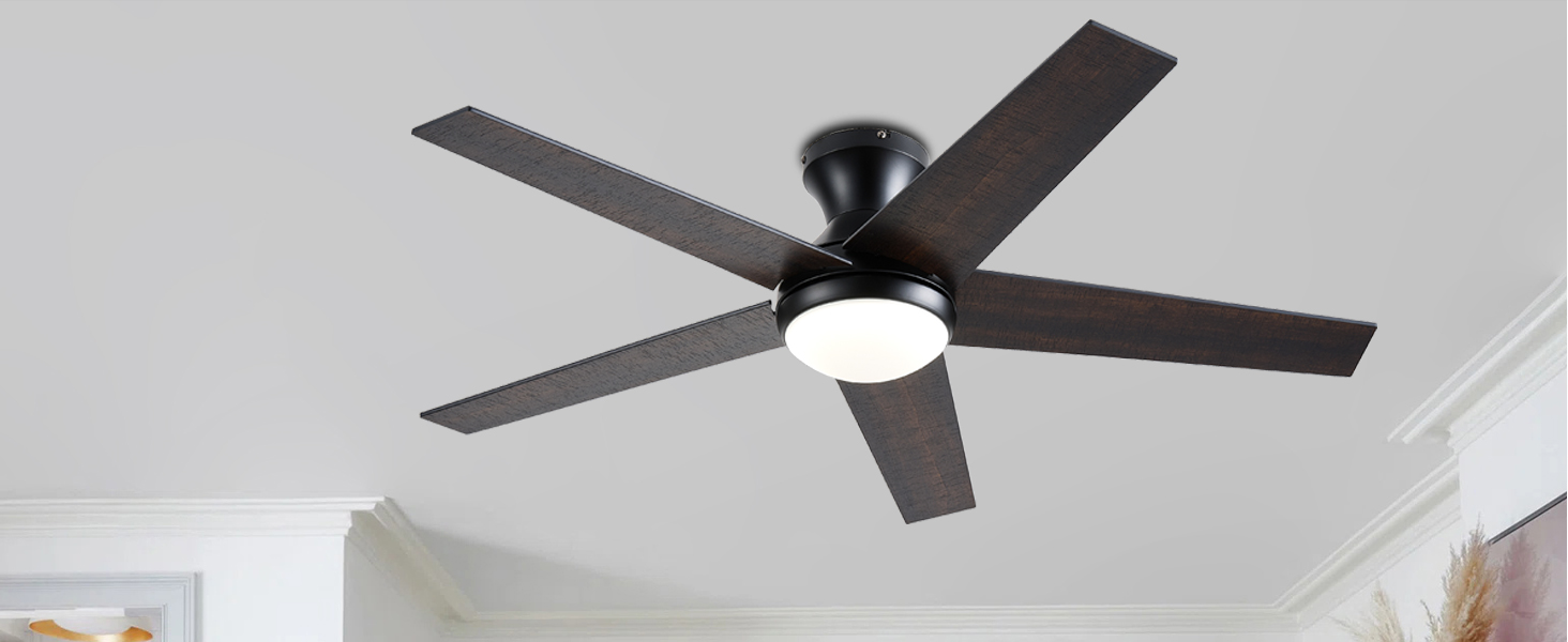 Ceiling Fan