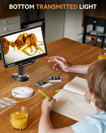 digital microscope soldering microscope coin microscope (16)