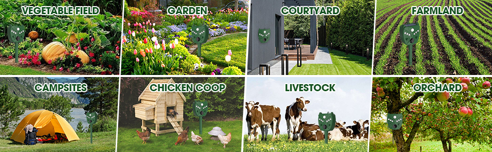 Animal Deterrent