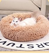 cat bed