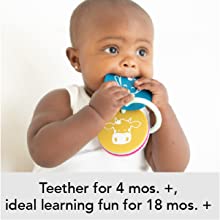These teethers are for 4 months and up, ideal learning fun to 18 months and up
