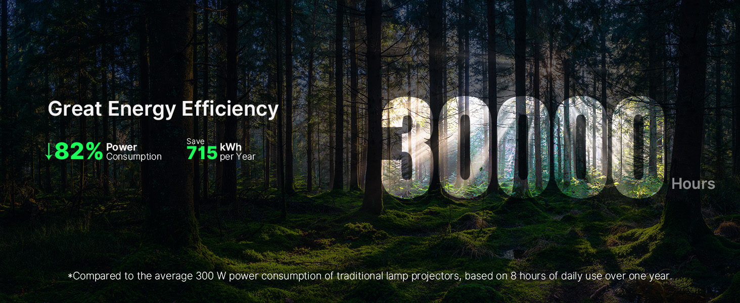 Sunlight reveals “30,000 Hours” in forest