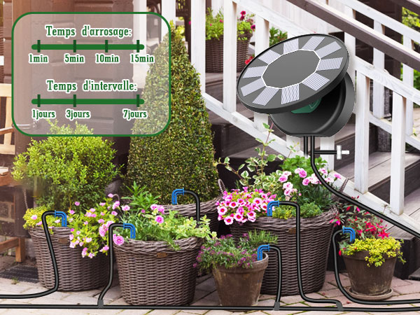 با گیاهان گلدانی، گلها و یک ساعت خورشیدی در فضای باز. متن روی صفحه، دما را برای مکانهای مختلف نشان میدهد.