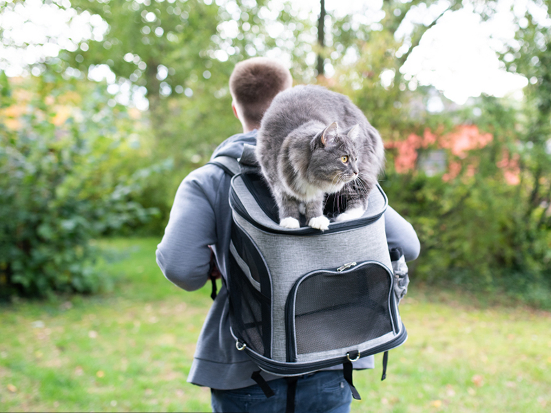 AbleHope Cat Backpacks for Carrying Cats Pet Backpack