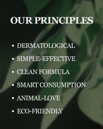 our principles