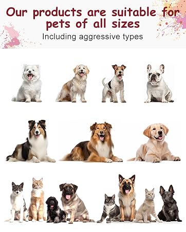 ALL SIZES