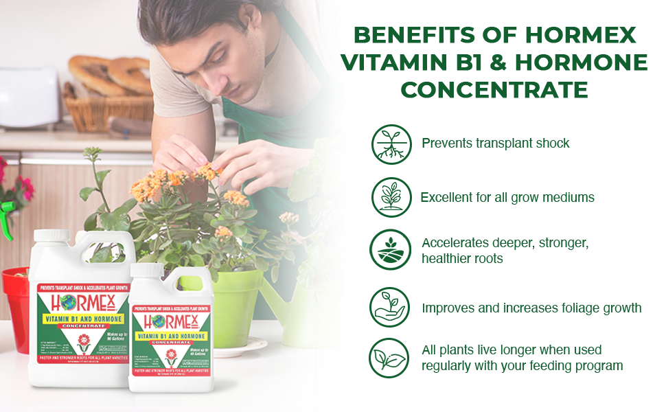 Hormex Vitamin B1 Rooting Hormone Concentrate Rooting Hormone for Hydroponics