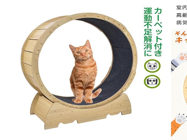 猫用木製運動ホイール 94cm キャットホイール 大型 回し車 猫 運動不足 解消 大型猫対応