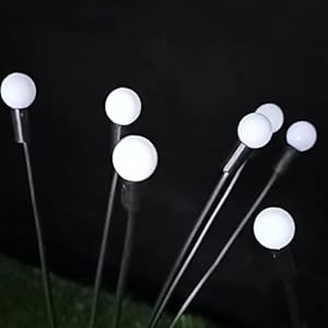 Firefly light