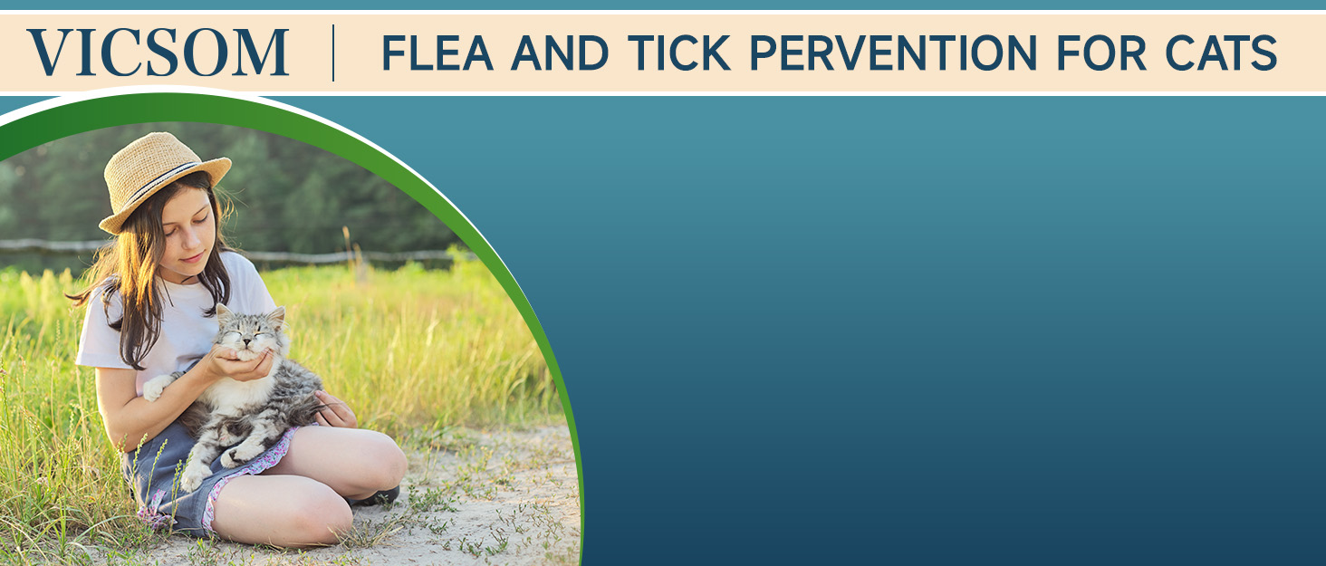 Cat Flea Tick prevention