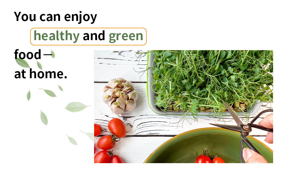   bean sprouts grow kit