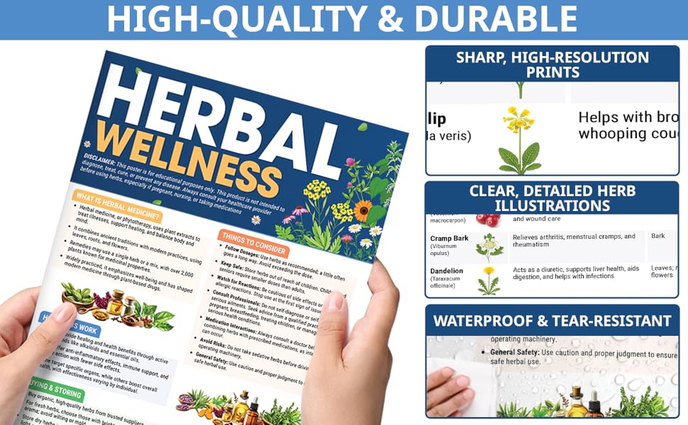 Herbal Medicine Anh 2