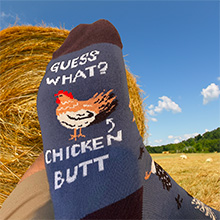 chicken socks