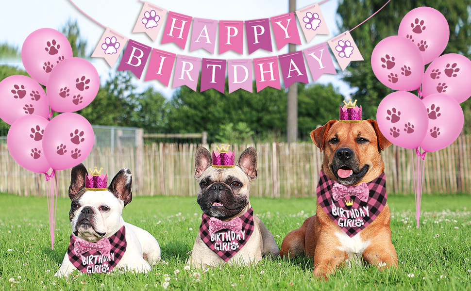 Dog Birthday Party Supplies
