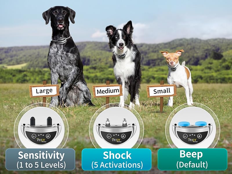Barking Collar
